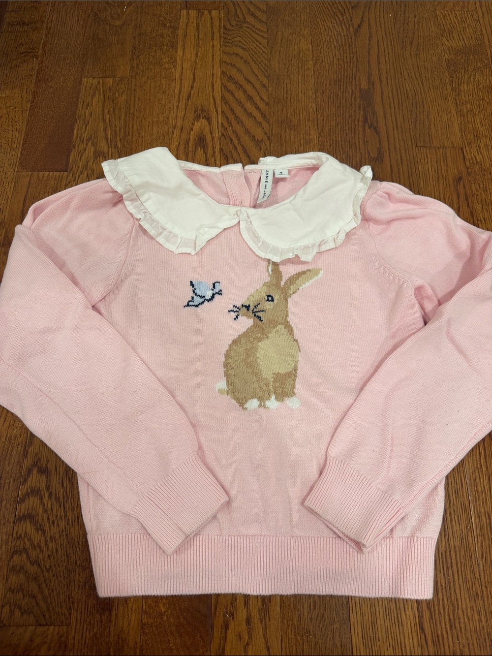Janie and Jack Pink Sweater with Bunny and Peter Pan Collar